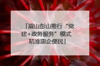 眉山彭山推行“党建+政务服务”模式 精准惠企便民