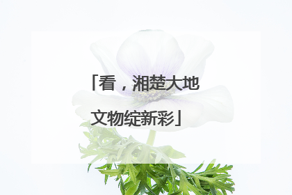 看，湘楚大地文物绽新彩