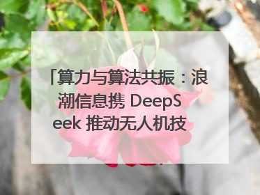 算力与算法共振：浪潮信息携 DeepSeek 推动无人机技术在舟山落地
