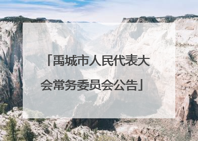 禹城市人民代表大会常务委员会公告