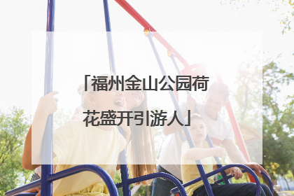 福州金山公园荷花盛开引游人