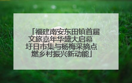 福建南安东田镇首届文旅嘉年华盛大启幕 圩日市集与杨梅采摘点燃乡村振兴新动能