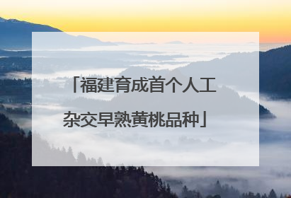 福建育成首个人工杂交早熟黄桃品种