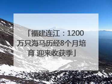福建连江：1200万只海马历经8个月培育 迎来收获季