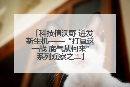 科技植沃野 迸发新生机——“打赢这一战 底气从何来”系列观察之二