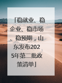 稳就业、稳企业、稳市场、稳预期，山东发布2025年第二批政策清单