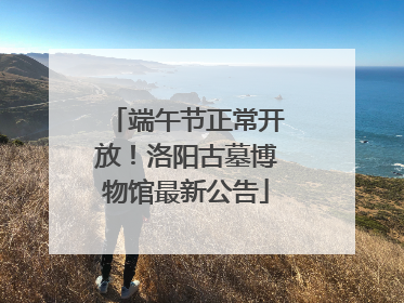 端午节正常开放！洛阳古墓博物馆最新公告