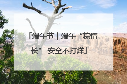 端午节｜端午“粽情长” 安全不打烊