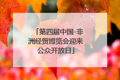 第四届中国-非洲经贸博览会迎来公众开放日