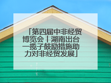 第四届中非经贸博览会丨湖南出台一揽子鼓励措施助力对非经贸发展
