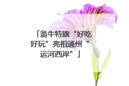 翁牛特旗“好吃好玩”亮相通州“运河西岸”