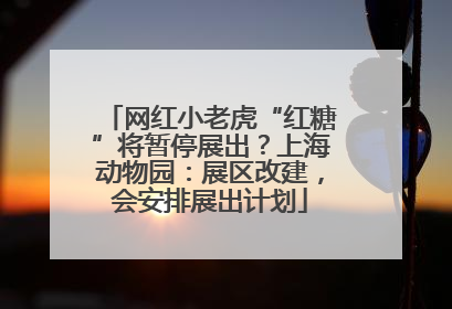 网红小老虎“红糖”将暂停展出？上海动物园：展区改建，会安排展出计划