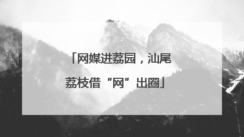 网媒进荔园，汕尾荔枝借“网”出圈