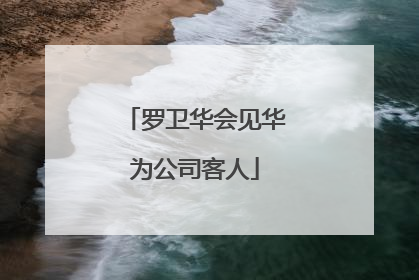 罗卫华会见华为公司客人