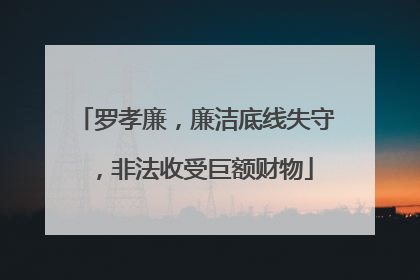 罗孝廉，廉洁底线失守，非法收受巨额财物