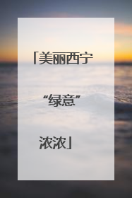 美丽西宁 “绿意”浓浓