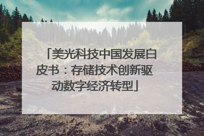 美光科技中国发展白皮书：存储技术创新驱动数字经济转型