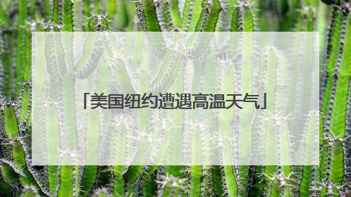美国纽约遭遇高温天气