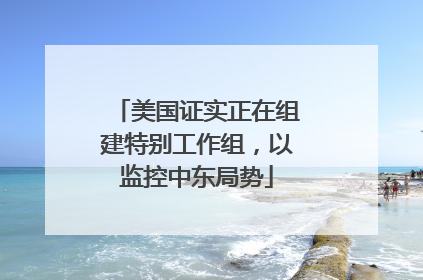美国证实正在组建特别工作组，以监控中东局势