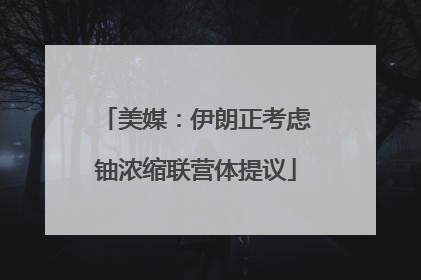 美媒：伊朗正考虑铀浓缩联营体提议