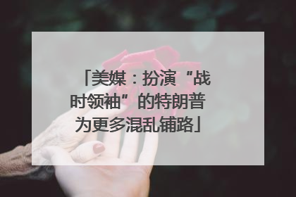 美媒：扮演“战时领袖”的特朗普为更多混乱铺路