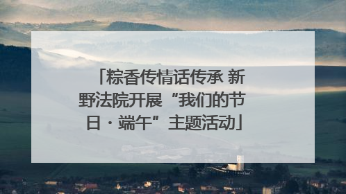 粽香传情话传承 新野法院开展“我们的节日・端午”主题活动