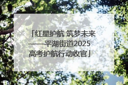 红星护航 筑梦未来——平湖街道2025高考护航行动收官