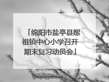 绵阳市盐亭县嫘祖镇中心小学召开期末复习动员会