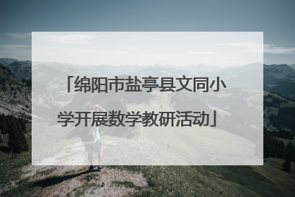 绵阳市盐亭县文同小学开展数学教研活动