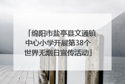 绵阳市盐亭县文通镇中心小学开展第38个世界无烟日宣传活动