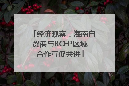 经济观察：海南自贸港与RCEP区域合作互促共进