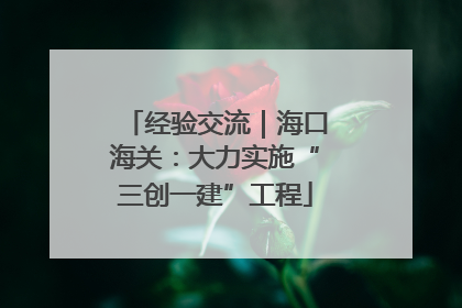 经验交流｜海口海关：大力实施“三创一建”工程