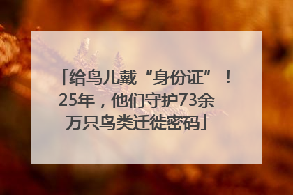 给鸟儿戴“身份证”！25年，他们守护73余万只鸟类迁徙密码