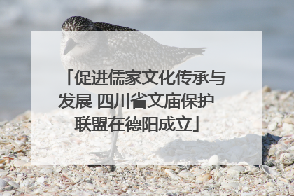 促进儒家文化传承与发展 四川省文庙保护联盟在德阳成立