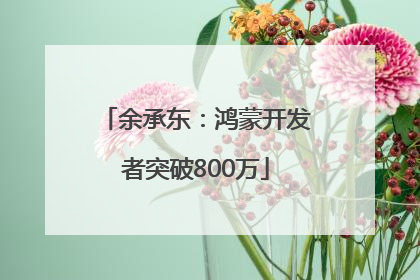 余承东：鸿蒙开发者突破800万