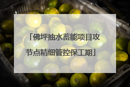 佛坪抽水蓄能项目攻节点精细管控保工期