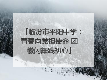 临汾市平阳中学：青春向党担使命 团徽闪耀践初心