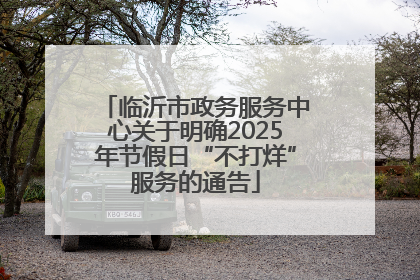 临沂市政务服务中心关于明确2025年节假日“不打烊”服务的通告