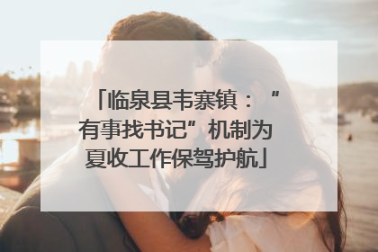 临泉县韦寨镇：“有事找书记”机制为夏收工作保驾护航