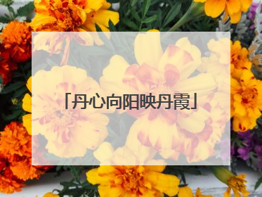 丹心向阳映丹霞