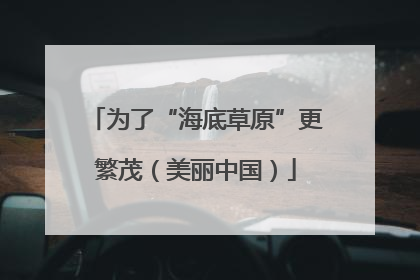 为了“海底草原”更繁茂（美丽中国）