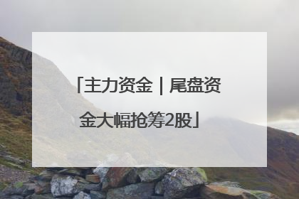 主力资金｜尾盘资金大幅抢筹2股