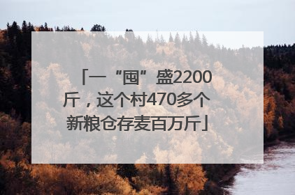 一“囤”盛2200斤，这个村470多个新粮仓存麦百万斤
