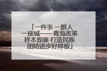 一件事 一群人 一座城——青海改革样本观察·打造民族团结进步好样板