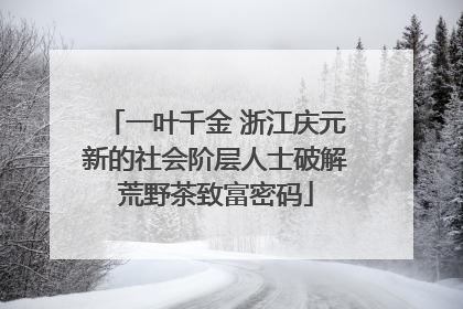 一叶千金 浙江庆元新的社会阶层人士破解荒野茶致富密码