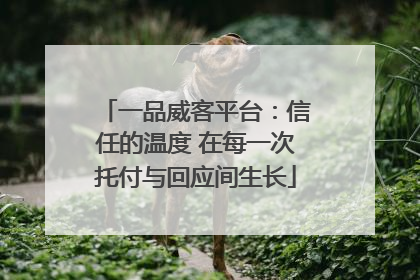 一品威客平台：信任的温度 在每一次托付与回应间生长