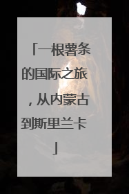 一根薯条的国际之旅，从内蒙古到斯里兰卡