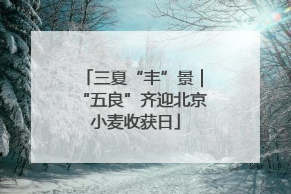 三夏“丰”景｜“五良”齐迎北京小麦收获日