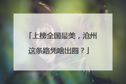 上榜全国最美，沧州这条路凭啥出圈？