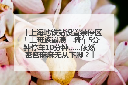 上海地铁站设置禁停区！上班族崩溃：骑车5分钟停车10分钟……依然密密麻麻无从下脚？